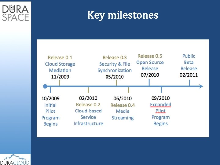 Key milestones 
