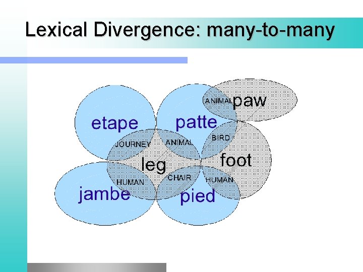 Lexical Divergence: many-to-many 