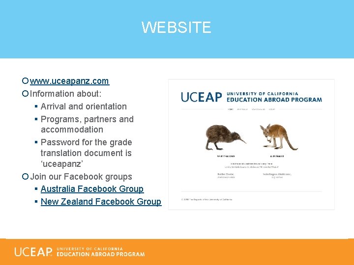 WEBSITE www. uceapanz. com Information about: § Arrival and orientation § Programs, partners and