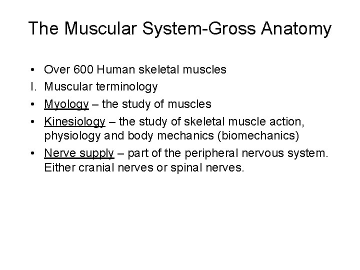 The Muscular System-Gross Anatomy • I. • • Over 600 Human skeletal muscles Muscular