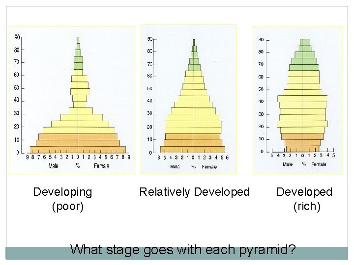 Developing (poor) Relatively Developed (rich) What stage goes with each pyramid? 