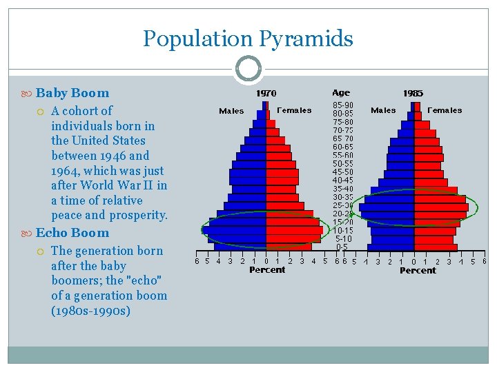 Population Pyramids Baby Boom A cohort of individuals born in the United States between