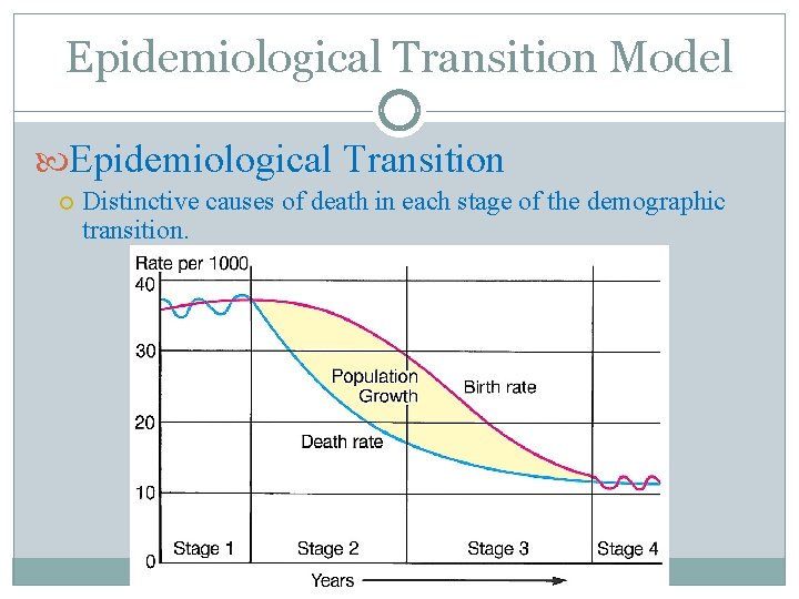 Epidemiological Transition Model Epidemiological Transition Distinctive causes of death in each stage of the