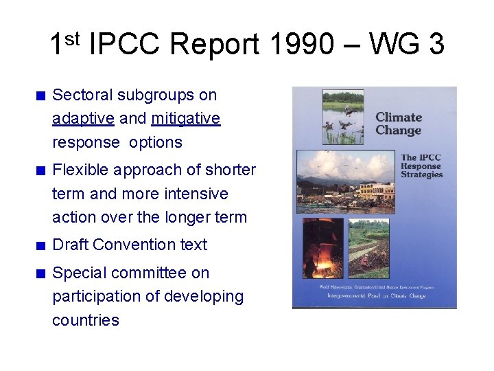 1 st IPCC Report 1990 – WG 3 Sectoral subgroups on adaptive and mitigative