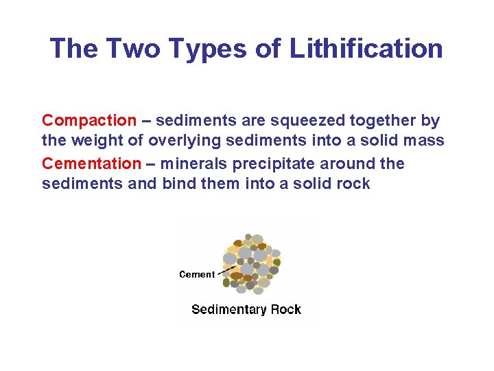 The Two Types of Lithification Compaction – sediments are squeezed together by the weight