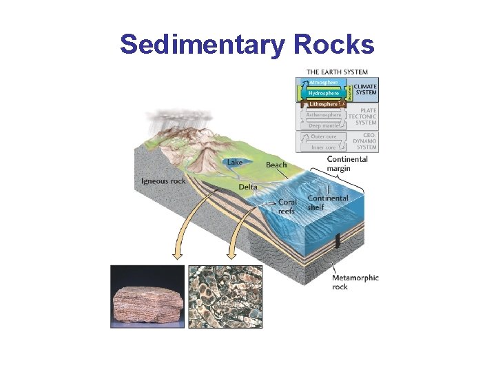 Sedimentary Rocks 