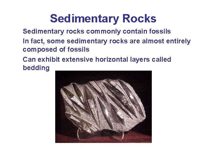 Sedimentary Rocks Sedimentary rocks commonly contain fossils In fact, some sedimentary rocks are almost