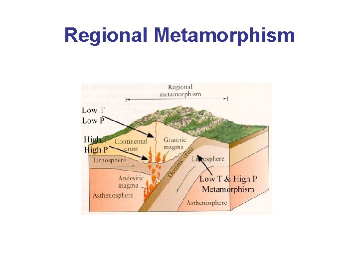 Regional Metamorphism 