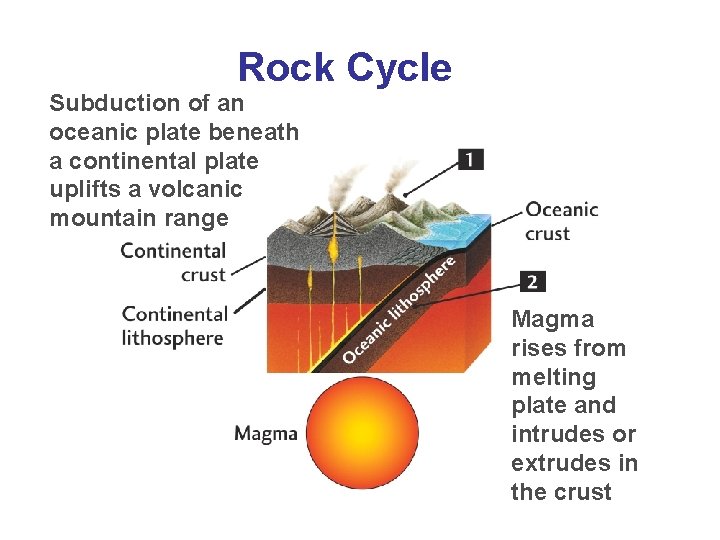 Rock Cycle Subduction of an oceanic plate beneath a continental plate uplifts a volcanic