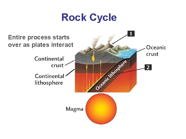 Rock Cycle Entire process starts over as plates interact 