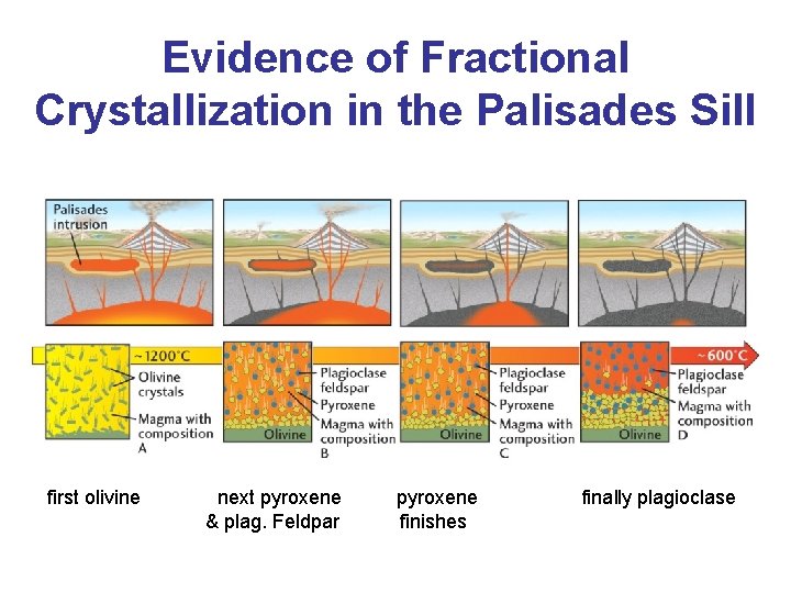 Evidence of Fractional Crystallization in the Palisades Sill first olivine next pyroxene & plag.