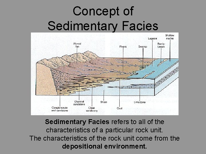 Concept of Sedimentary Facies refers to all of the characteristics of a particular rock