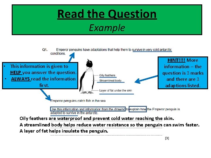 Read the Question Example • This information is given to HELP you answer the