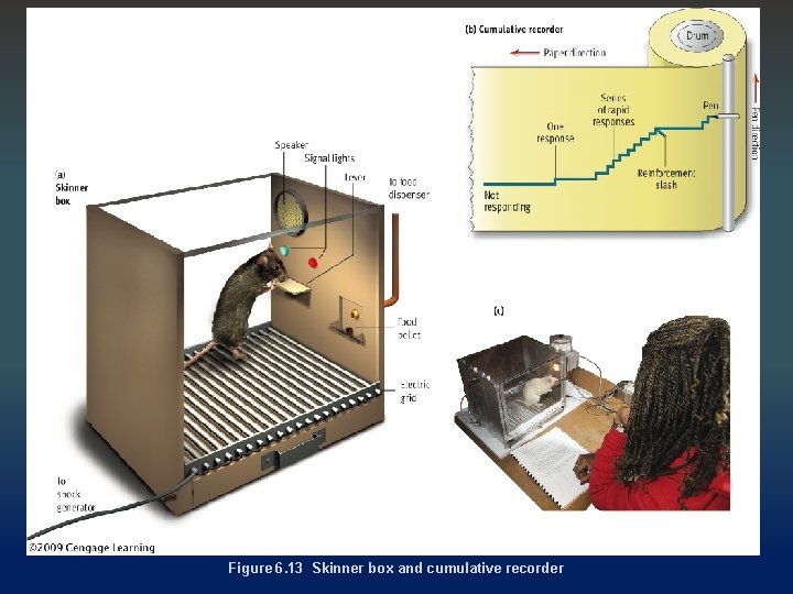 Figure 6. 13 Skinner box and cumulative recorder 