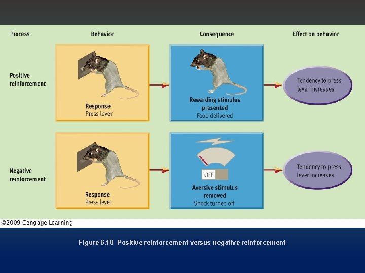 Figure 6. 18 Positive reinforcement versus negative reinforcement 