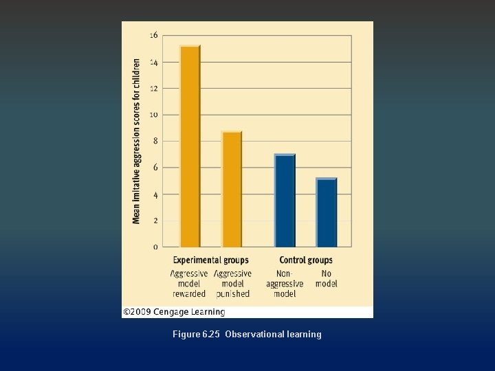 Figure 6. 25 Observational learning 