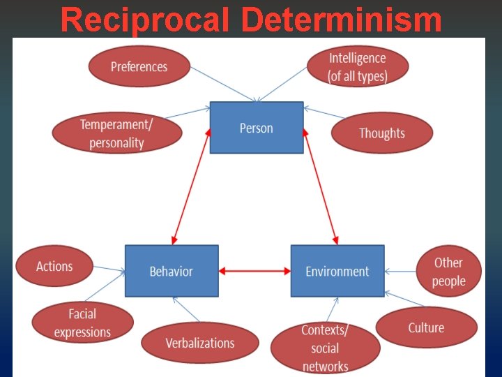 Reciprocal Determinism 