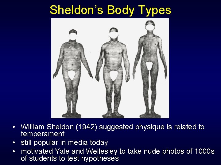 Sheldon’s Body Types • William Sheldon (1942) suggested physique is related to temperament •