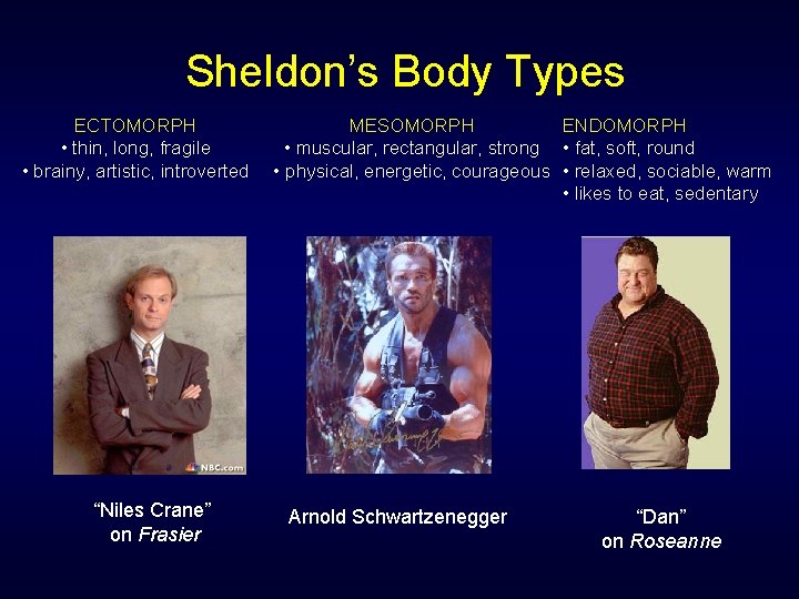  Sheldon’s Body Types ECTOMORPH • thin, long, fragile • brainy, artistic, introverted “Niles