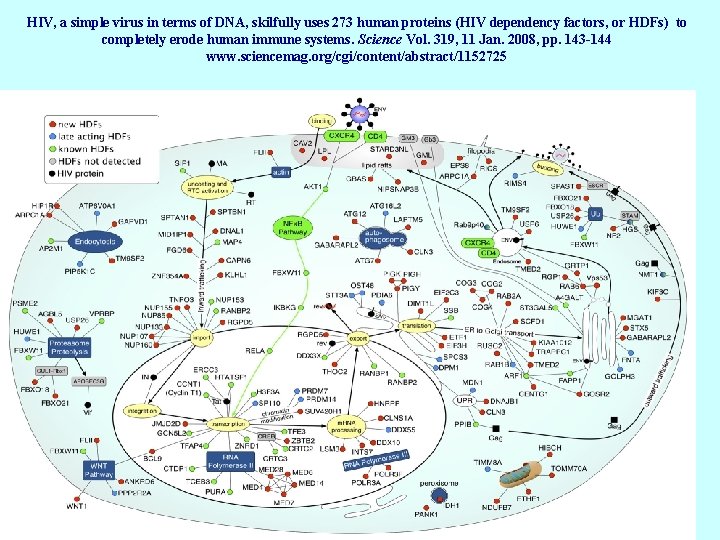 HIV, a simple virus in terms of DNA, skilfully uses 273 human proteins (HIV