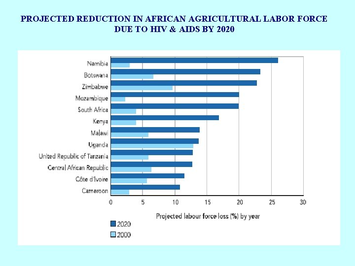 PROJECTED REDUCTION IN AFRICAN AGRICULTURAL LABOR FORCE DUE TO HIV & AIDS BY 2020