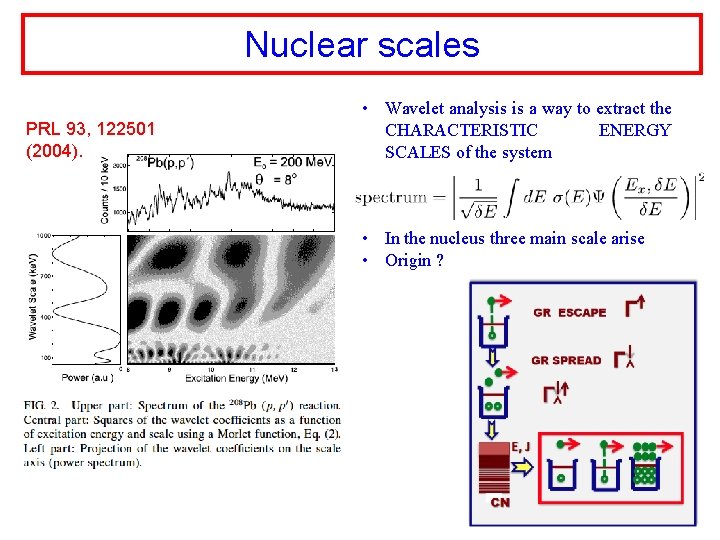 Nuclear scales PRL 93, 122501 (2004). • Wavelet analysis is a way to extract