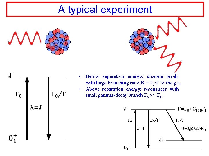 A typical experiment • Below separation energy: discrete levels with large branching ratio B