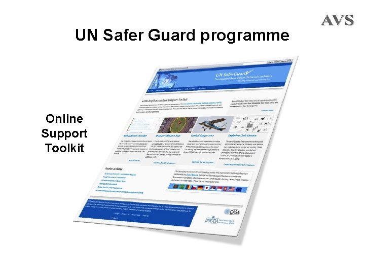 UN Safer Guard programme Online Support Toolkit 