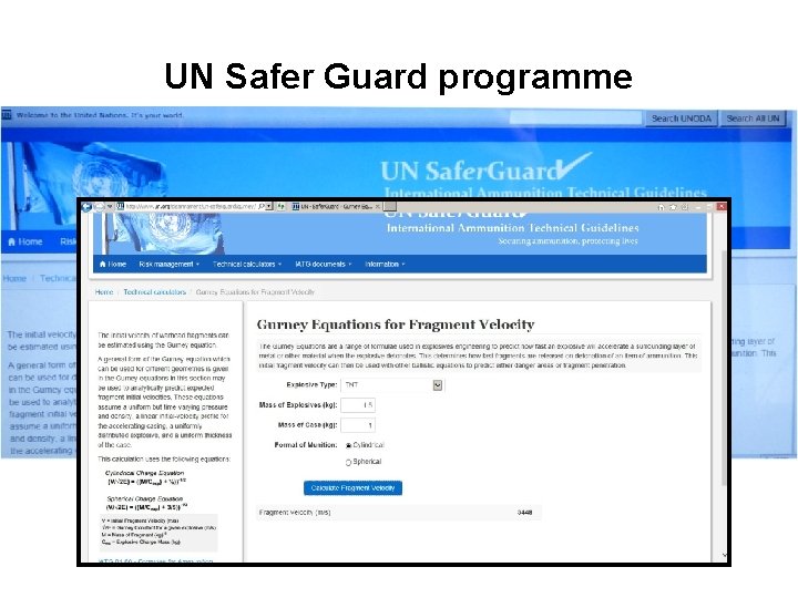 UN Safer Guard programme 