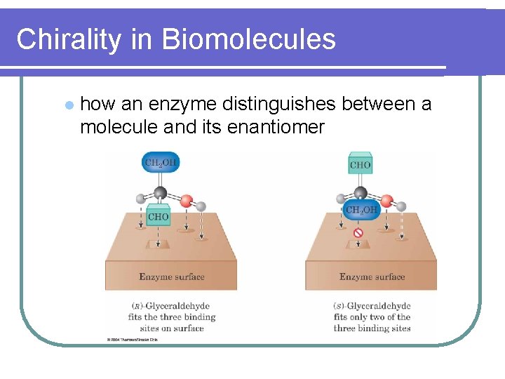 Chirality in Biomolecules l how an enzyme distinguishes between a molecule and its enantiomer Chirality in Biomolecules l how an enzyme distinguishes between a molecule and its enantiomer