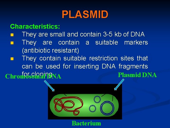 PLASMID Characteristics: n They are small and contain 3 -5 kb of DNA n