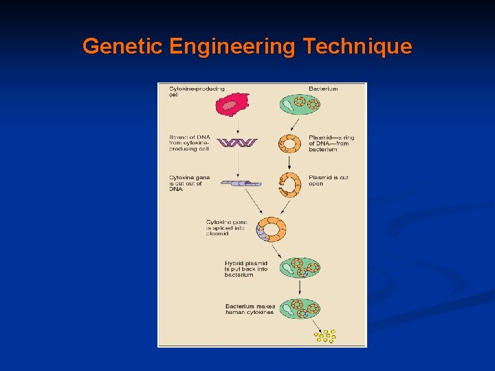 Genetic Engineering Technique 