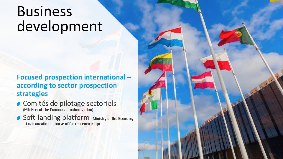 Business development Focused prospection international – according to sector prospection strategies Comités de pilotage