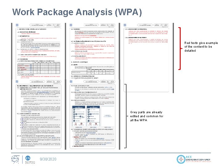 Work Package Analysis (WPA) Red texts give example of the content to be detailed