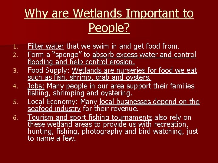 Why are Wetlands Important to People? 1. 2. 3. 4. 5. 6. Filter water