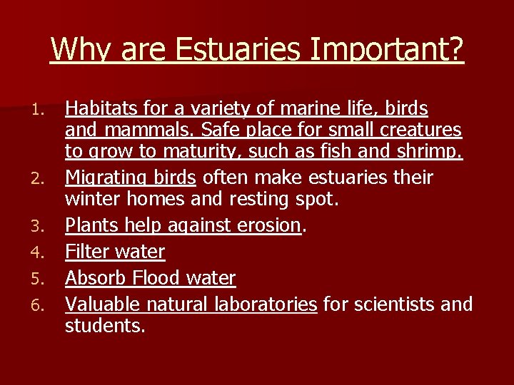 Why are Estuaries Important? 1. 2. 3. 4. 5. 6. Habitats for a variety