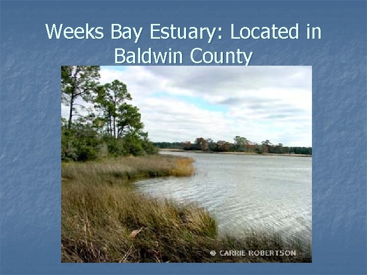 Weeks Bay Estuary: Located in Baldwin County 