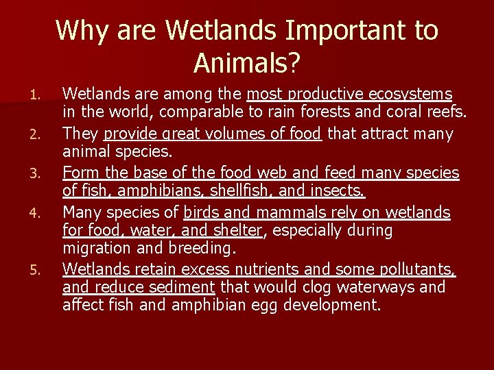 Why are Wetlands Important to Animals? 1. 2. 3. 4. 5. Wetlands are among