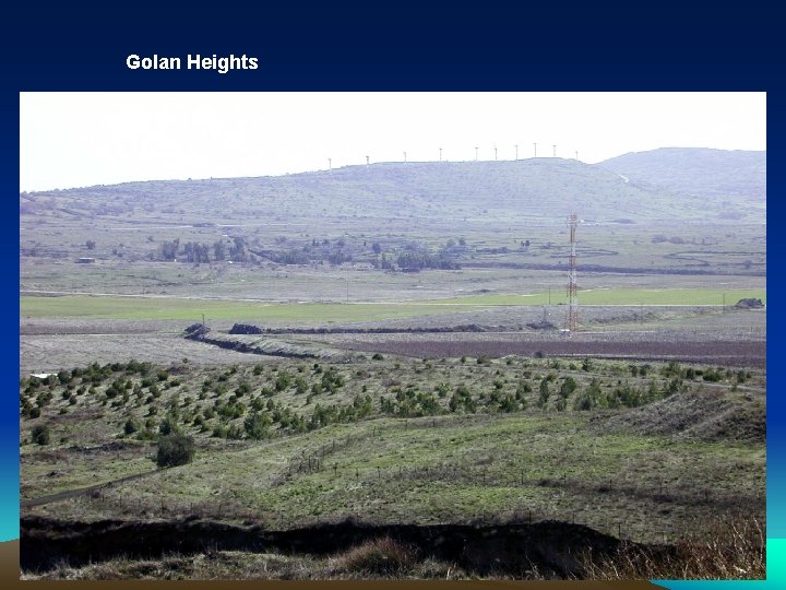 Golan Heights 