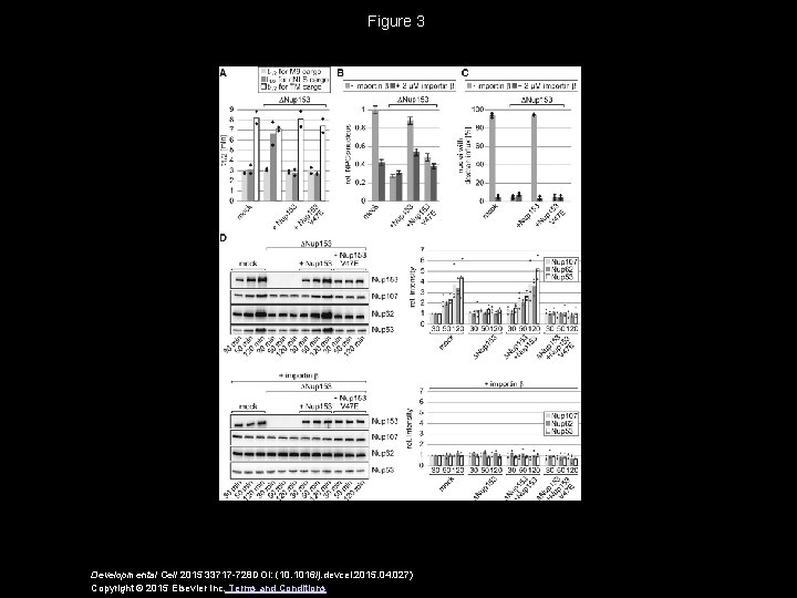 Figure 3 Developmental Cell 2015 33717 -728 DOI: (10. 1016/j. devcel. 2015. 04. 027)