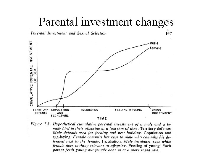 Parental investment changes 