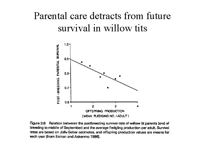 Parental care detracts from future survival in willow tits 