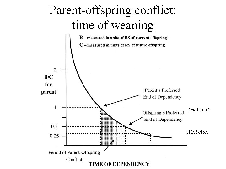 Parent-offspring conflict: time of weaning (Full-sibs) (Half-sibs) 