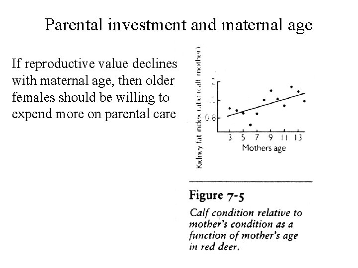 Parental investment and maternal age If reproductive value declines with maternal age, then older