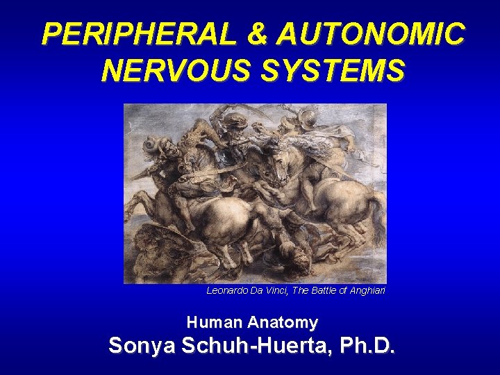 PERIPHERAL & AUTONOMIC NERVOUS SYSTEMS Leonardo Da Vinci, The Battle of Anghiari Human Anatomy