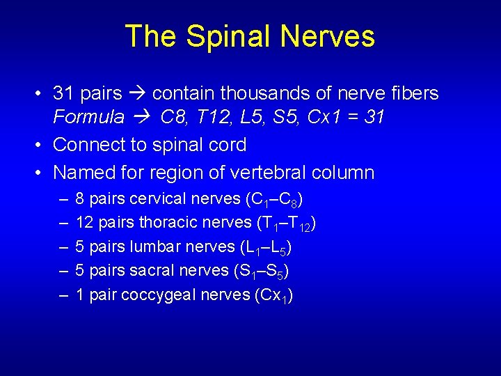 The Spinal Nerves • 31 pairs contain thousands of nerve fibers Formula C 8,