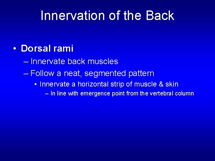 Innervation of the Back • Dorsal rami – Innervate back muscles – Follow a