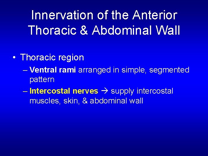 Innervation of the Anterior Thoracic & Abdominal Wall • Thoracic region – Ventral rami