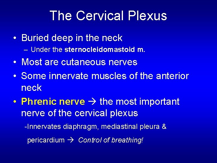 The Cervical Plexus • Buried deep in the neck – Under the sternocleidomastoid m.