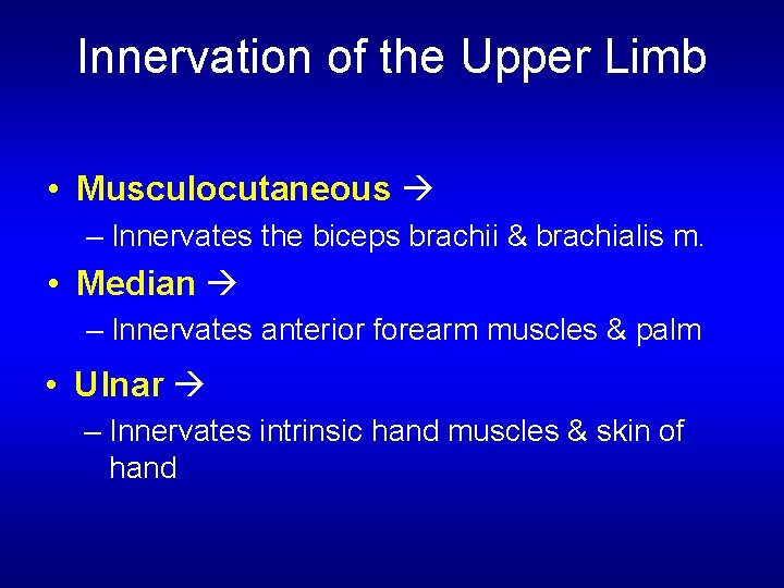 Innervation of the Upper Limb • Musculocutaneous – Innervates the biceps brachii & brachialis